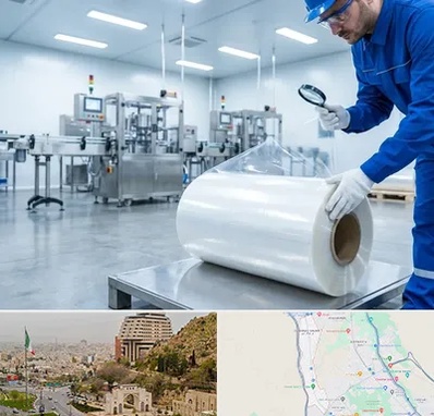 سلفون در فرهنگ شهر شیراز