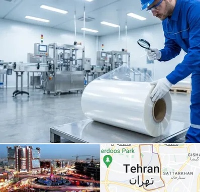 سلفون در صادقیه