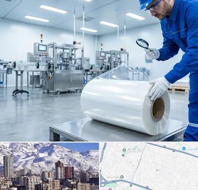 سلفون در ازگل