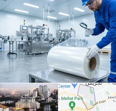 سلفون در الهیه