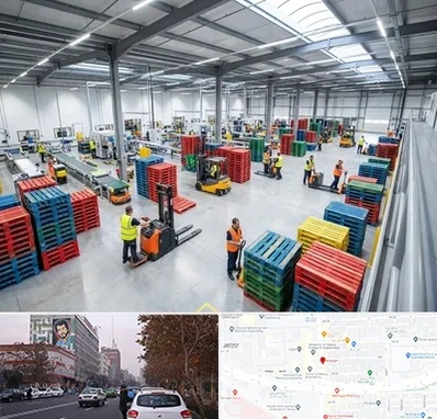 پالت پلاستیکی در کارگر شمالی 