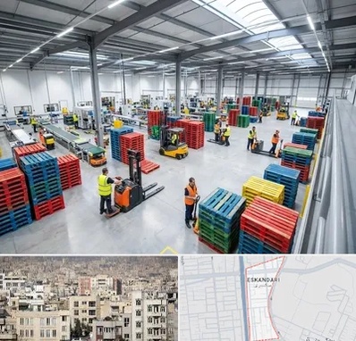 پالت پلاستیکی در اسکندری 