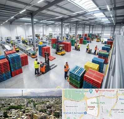 پالت پلاستیکی در گیشا 