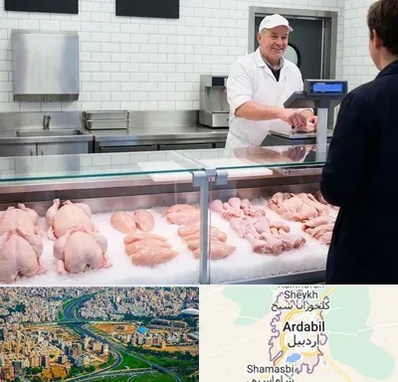 مرغ فروشی در اردبیل