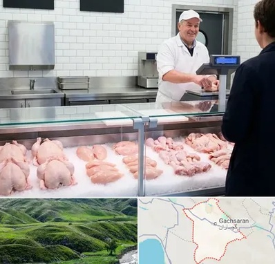 مرغ فروشی در گچساران
