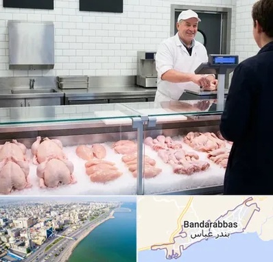 مرغ فروشی در بندرعباس