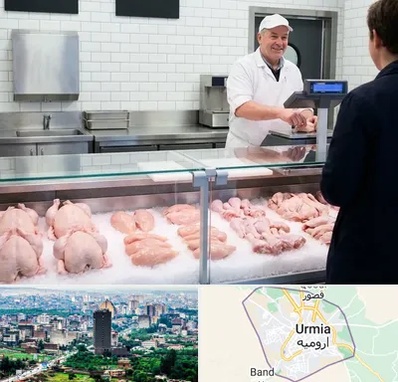 مرغ فروشی در ارومیه