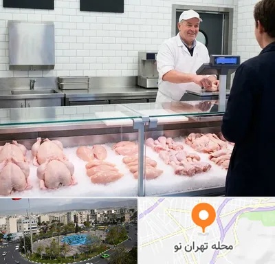 مرغ فروشی در تهران نو