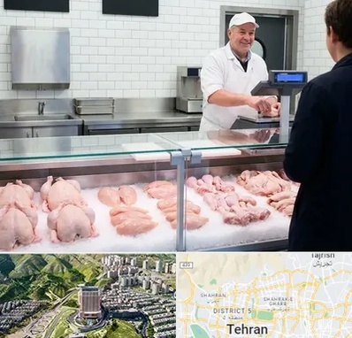 مرغ فروشی در شمال تهران 