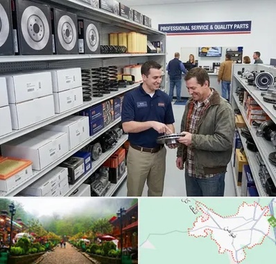 لوازم یدکی کاپرا در فومن