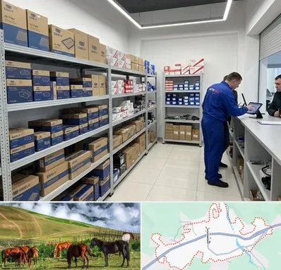 لوازم یدکی جیلی در تالش