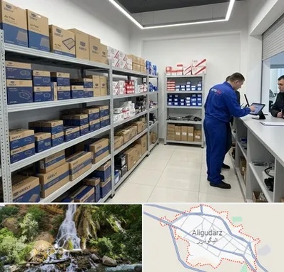 لوازم یدکی جیلی در الیگودرز