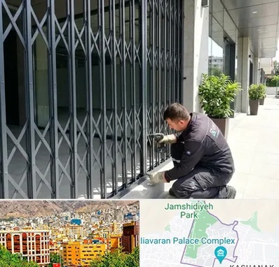 حفاظ آکاردئونی در نیاوران 