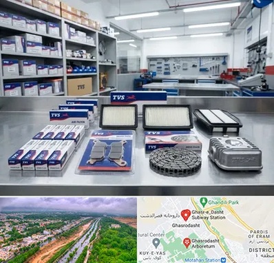 لوازم تی وی اس در قصرالدشت شیراز