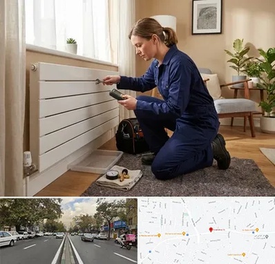 تعمیر شوفاژ در دولت 