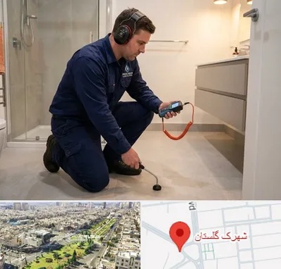 تشخیص ترکیدگی لوله در شهرک گلستان