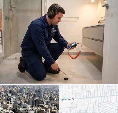 تشخیص ترکیدگی لوله در جیحون 