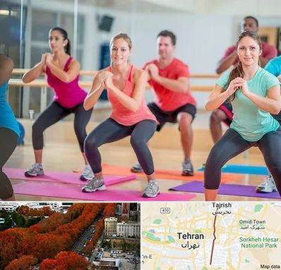 باشگاه ایروبیک در ولیعصر