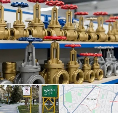 فروش شیر فلکه در تهران ویلا 