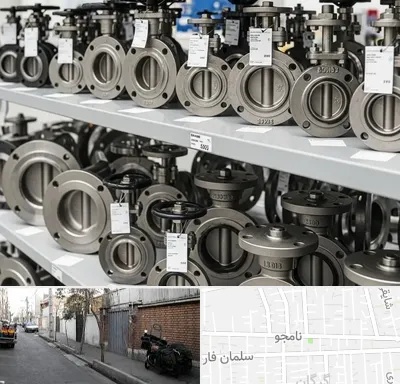 فروش شیر پروانه ای در خیابان نامجو