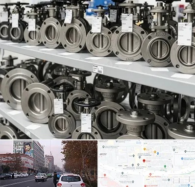 فروش شیر پروانه ای در کارگر شمالی 