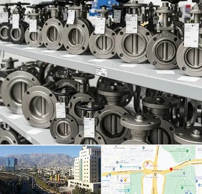 فروش شیر پروانه ای در حقانی