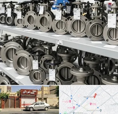 فروش شیر پروانه ای در باجک قم
