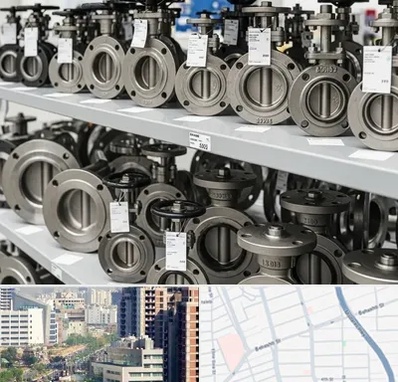 فروش شیر پروانه ای در خیابان بهشتی