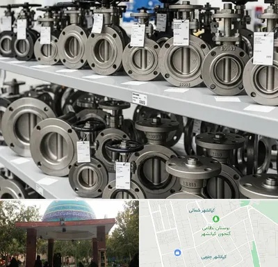 فروش شیر پروانه ای در کیانشهر