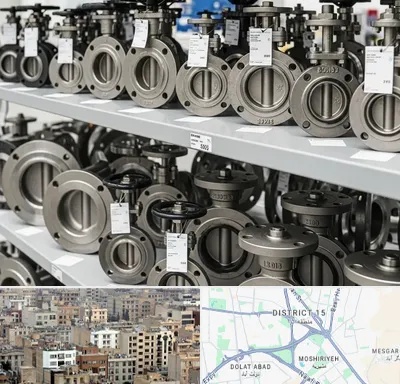 فروش شیر پروانه ای در جنوب شرق تهران
