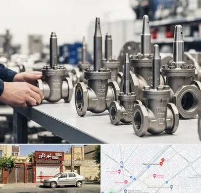 فروش شیر سوزنی در باجک قم 