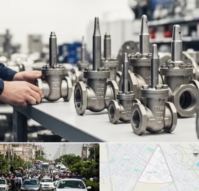 فروش شیر سوزنی در سیدی مشهد 