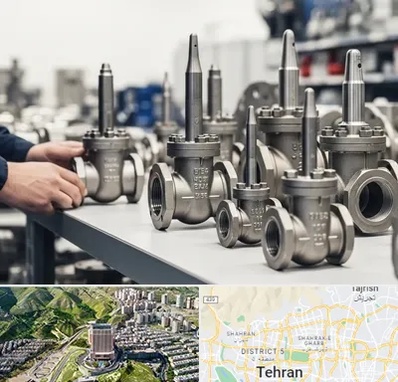 فروش شیر سوزنی در شمال تهران 