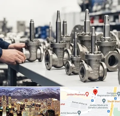 فروش شیر سوزنی در جردن