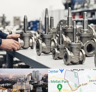 فروش شیر سوزنی در الهیه 