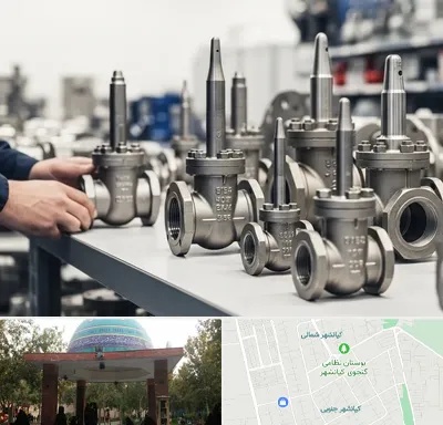 فروش شیر سوزنی در کیانشهر