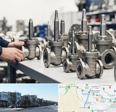 فروش شیر سوزنی در شریعتی مشهد 