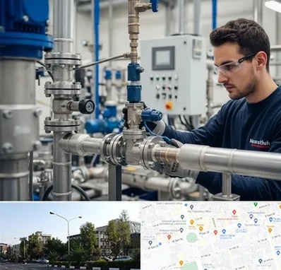 فروش شیر برقی در میدان کاج 