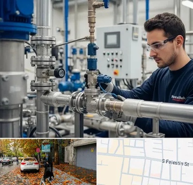 فروش شیر برقی در خیابان فلسطین 