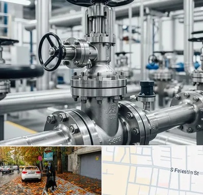 فروش شیر اطمینان در خیابان فلسطین 