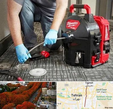 لوله بازکنی در ولیعصر