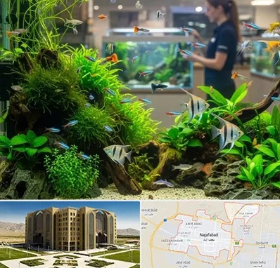 اکواریوم و آبزیان در نجف آباد