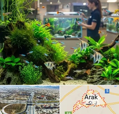 اکواریوم و آبزیان در اراک