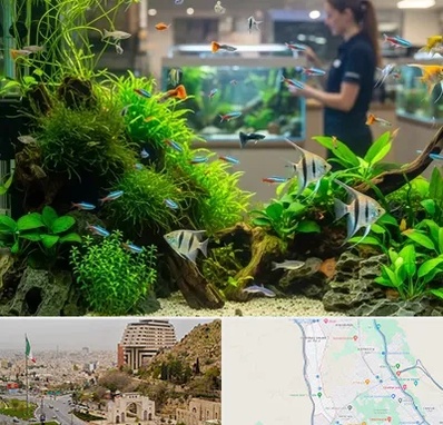 اکواریوم و آبزیان در فرهنگ شهر شیراز