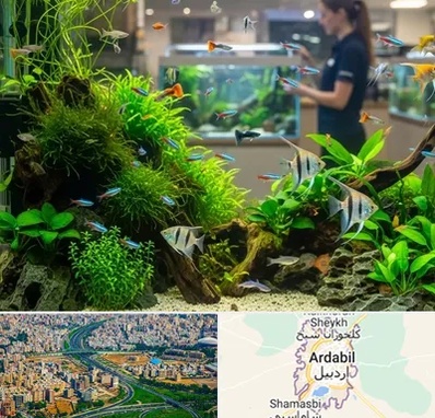 اکواریوم و آبزیان در اردبیل