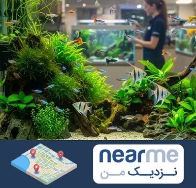 اکواریوم و آبزیان در نزدیک من
