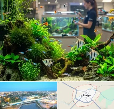 اکواریوم و آبزیان در سوسنگرد