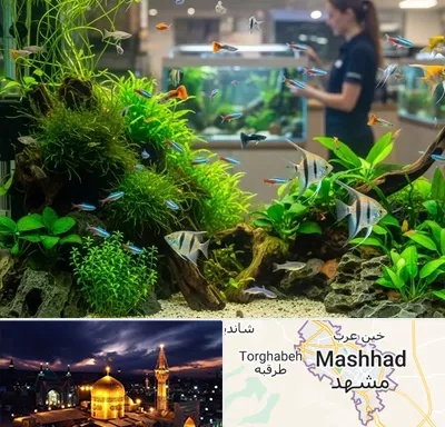 اکواریوم و آبزیان در مشهد