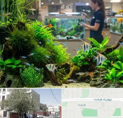 اکواریوم و آبزیان در طرشت