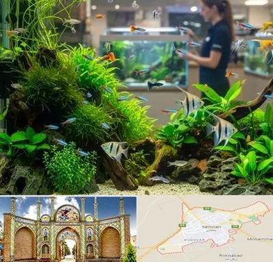 اکواریوم و آبزیان در سمنان